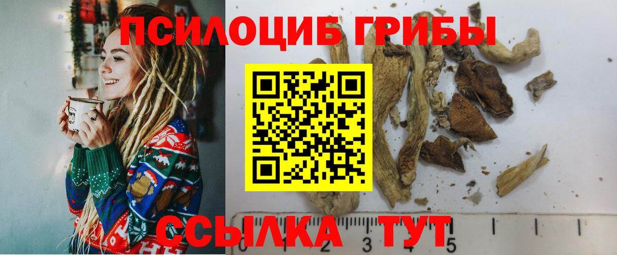 Галлюциногенные грибы Psilocybine cubensis  Вход с VPN  хочу наркоту  Богородск 