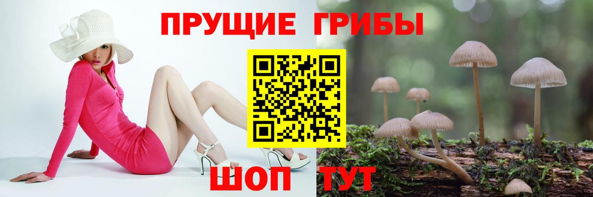 Псилоцибиновые грибы ЛСД Богородск